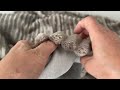 Плюшен плат за тапицерия на райета, подсилен