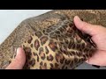Бански животински принт